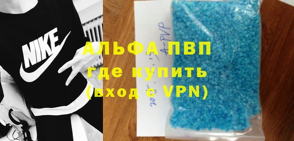 ПСИЛОЦИБИНОВЫЕ ГРИБЫ Осинники
