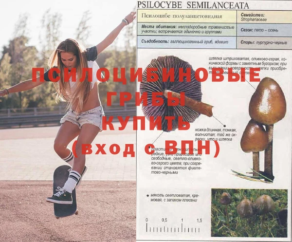 гашишное масло Всеволожск