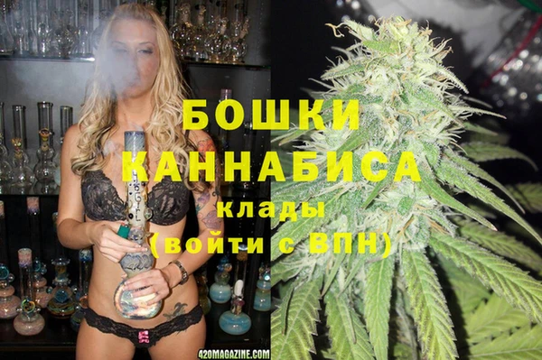 ПСИЛОЦИБИНОВЫЕ ГРИБЫ Осинники