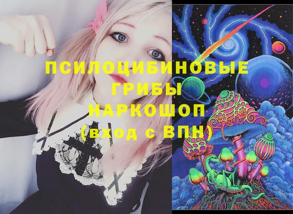 ПСИЛОЦИБИНОВЫЕ ГРИБЫ Осинники