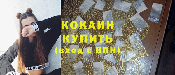 ПСИЛОЦИБИНОВЫЕ ГРИБЫ Осинники