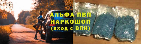 ешки Вуктыл